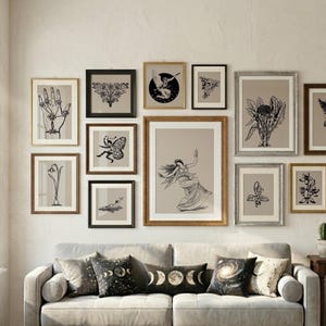 May include: A collection of framed art prints in various sizes and styles, featuring botanical and celestial illustrations. The artwork is displayed above a gray sofa with decorative pillows. The frames are in gold, black, and silver, creating a gallery wall.