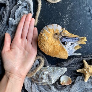 Może przedstawiać: Ręcznie robiona rzeźba muszli nautilusa z ż&oacute;łtą i białą muszlą i szarą i białą głową. Rzeźba jest otoczona szarą tkaniną i rozgwiazdą.