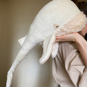 Puede incluir: Un juguete de peluche de ballena blanca con la barriga rosa. La ballena est&aacute; siendo sostenida por una persona.