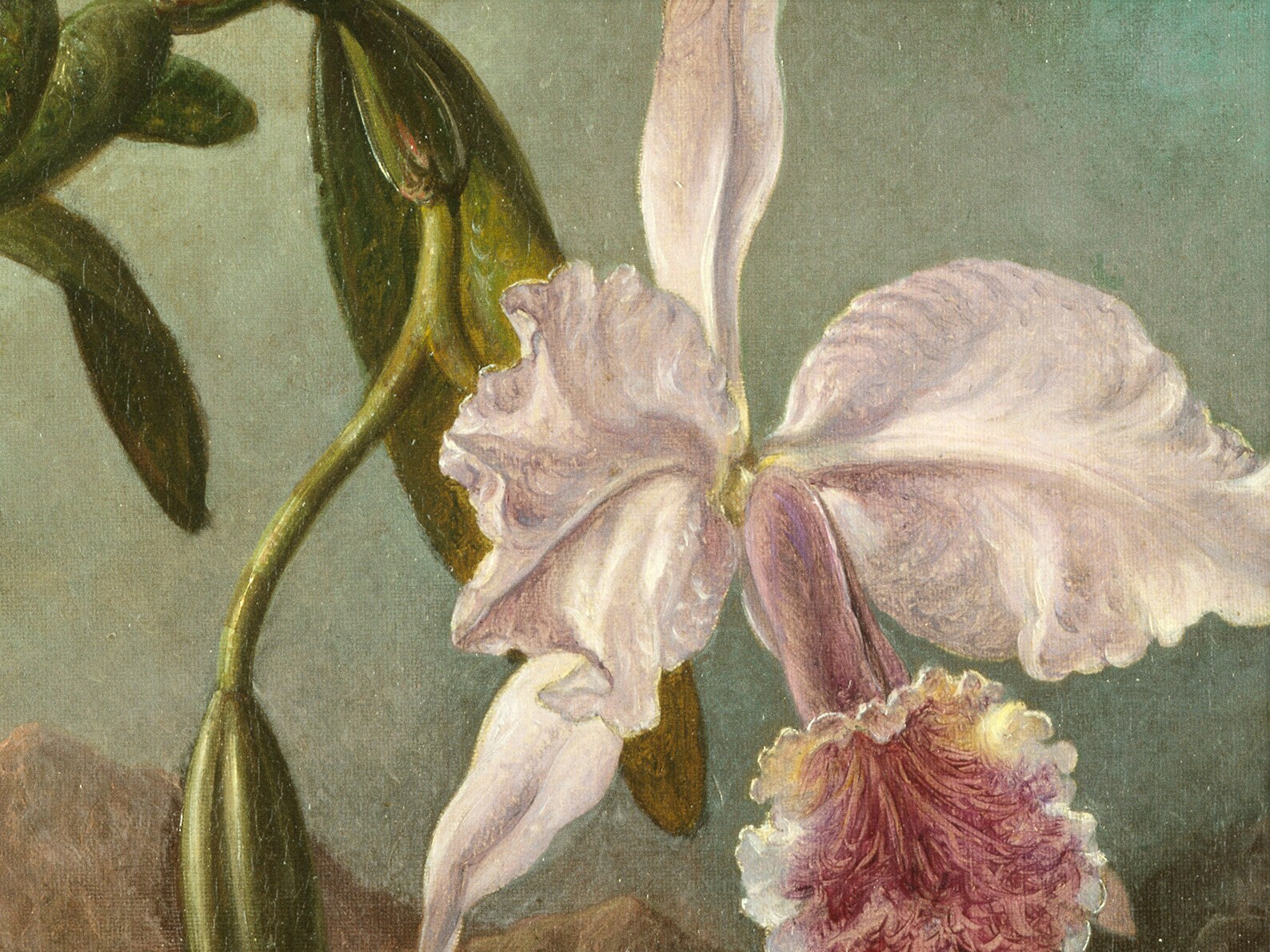 Vintage Flower Wall Decor Wall Art Floral Print Etsy