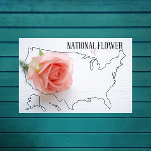 Cartão postal de flores nacionais dos EUA