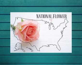 May include: A black and white outline of the United States of America with a pink rose on top. The text "NATIONAL FLOWER of" is above the map.