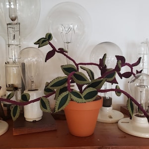 Felt Inch Plant, faux Tradescantia zebrina, felt wandering plant, fabric houseplant, textile plant, handmade, decorative potted plant image 7