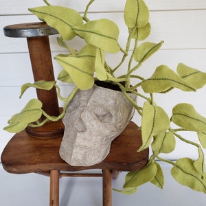May include: A felt skull planter with a green felt plant growing out of it. The planter is sitting on a wooden stool.