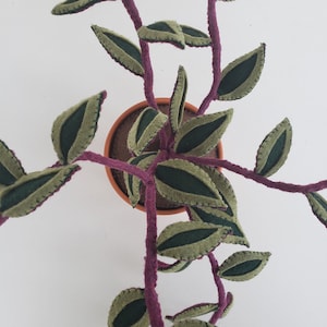 Felt Inch Plant, faux Tradescantia zebrina, felt wandering plant, fabric houseplant, textile plant, handmade, decorative potted plant image 3