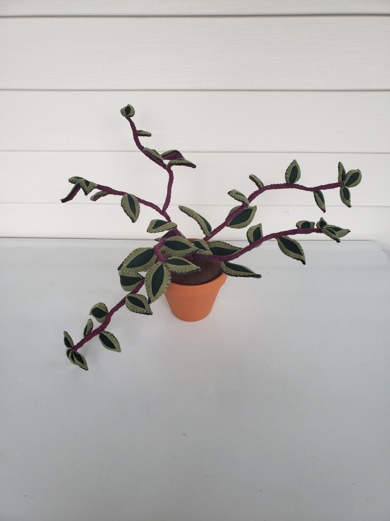 Felt Inch Plant, faux Tradescantia zebrina, felt wandering plant, fabric houseplant, textile plant, handmade, decorative potted plant image 1