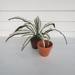 Felt Spider Plant, Faux Chlorophytum comosum, fabric houseplant, textile plant, handmade, decorative potted plant