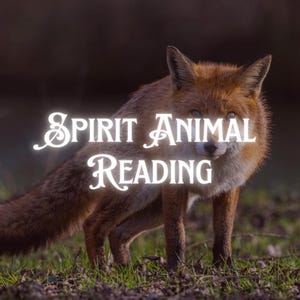Leitura de Espíritos Animais | Descubra o seu Totem Animal | Orientação da Alma e Mensagens Energéticas | Leitura Psíquica Clarividente | Leitura Espiritual
