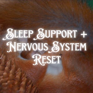 Könnte beinhalten: Nahaufnahme eines roten Eichhörnchens, das sich zusammengerollt hat, mit dem Text "SLEEP SUPPORT + NERVOUS SYSTEM RESET" in weißen Buchstaben.