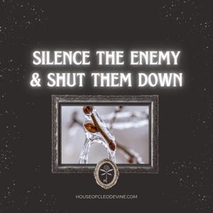 May include: A digital art piece with the text "SILENCE THE ENEMY & SHUT THEM DOWN" in white, glowing letters. Below, a framed image of a branch encased in ice. A small, oval emblem with a dragonfly design is below the frame.