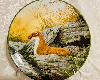 Royal Doulton “A stoat on the alert” by WG Rollinson  plate