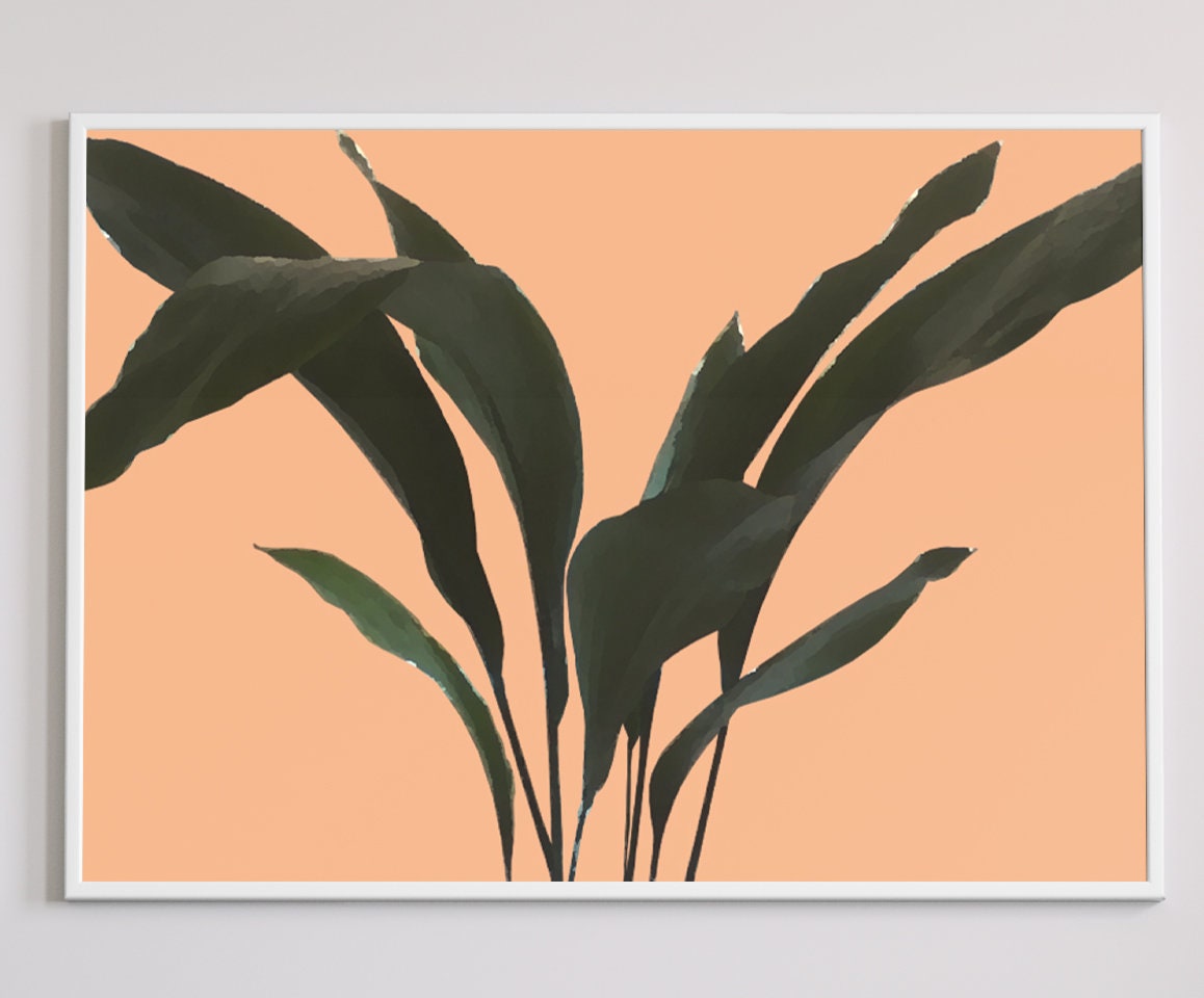 Cast Iron Plant Plant Prints Botanical Prints Plant Wall Etsy