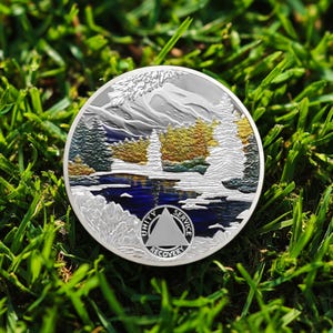 1-99 Years AA Chip, Winter Landscape Recovery Token Sobriety Gift