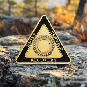1-99 Years AA Coin Sobriety Memorial Medal, Triangle of Radiance Customized Milestone Medallion Living Clean Celebration Gift for Men Women