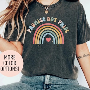Promise Not Pride Shirt, Christian Shirt, Retro Rainbow Shirt, God&#39;s Promise Shirt, Bible Verse Shirt, Godly Woman Shirt, Faith Shirt