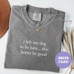 May include: A gray Comfort Colors t-shirt with the text "i left my dog to be here... this better be good" in white. A silver necklace with a small pendant is on the shirt. A brown hat and dried leaves are in the background.
