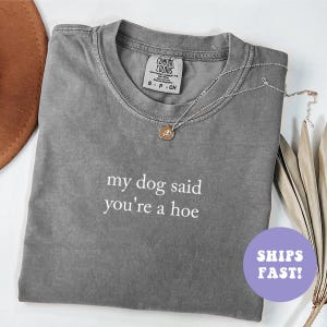 Comfort Colors® My Dog Said You&#39;re A Hoe Shirt, Funny Dog Mom Shirt, Dog Lover Shirt, Funny Humor Shirt, Trendy Shirt for Women, Dog Lovers