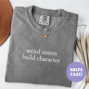 Comfort Colors® Weird Sisters Build Character Shirt, Funny Sister Shirt, Cute Birthday TShirt for Sister, Funny Sister Gift from Sis