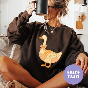May include: A dark brown sweatshirt featuring a whimsical goose design with a patchwork body, a pink bow, and orange feet. The goose is set against a brown background. The sweatshirt has long sleeves and a crew neck.