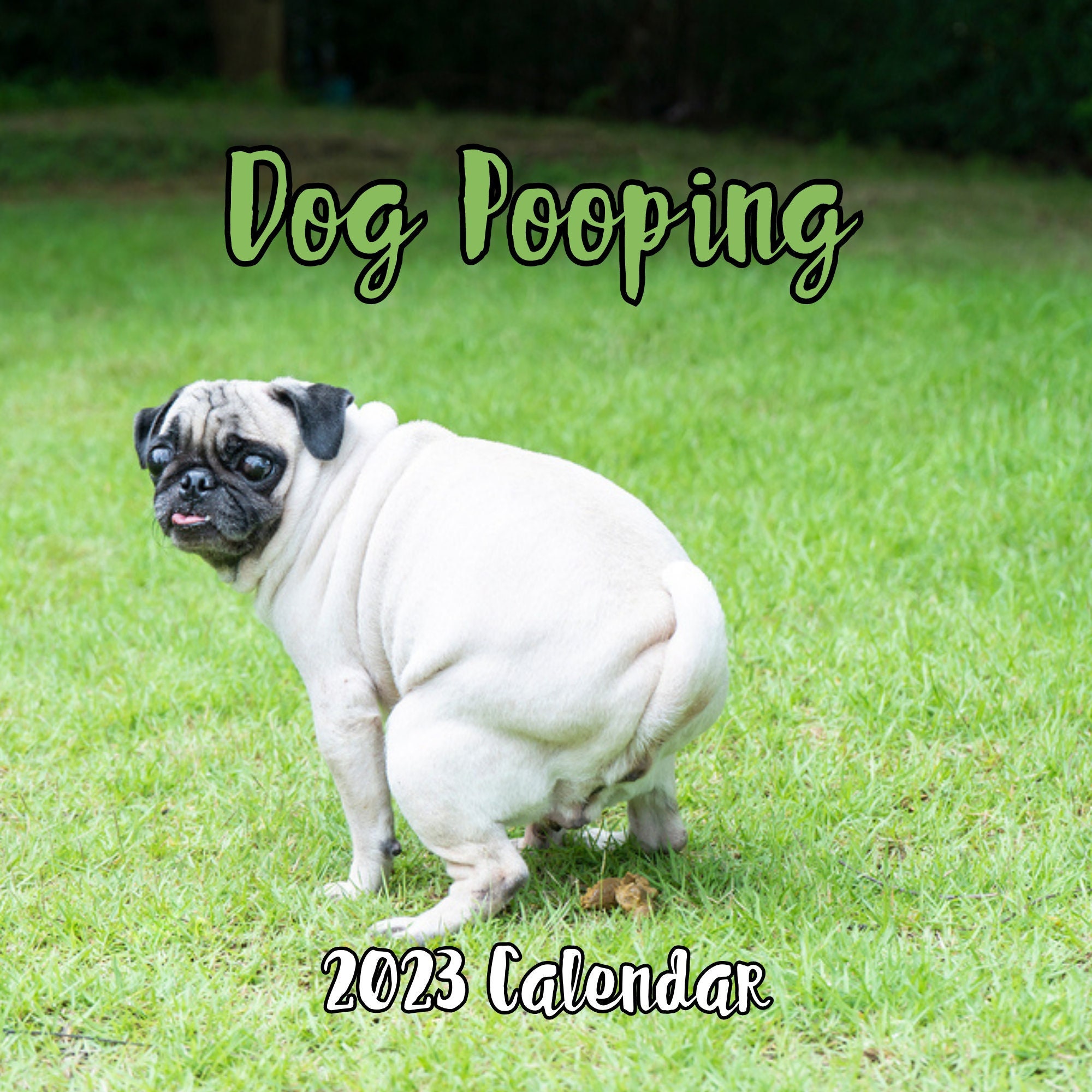 Dog Going Poop Lupon gov ph dog-going-poop-lupon-gov-ph