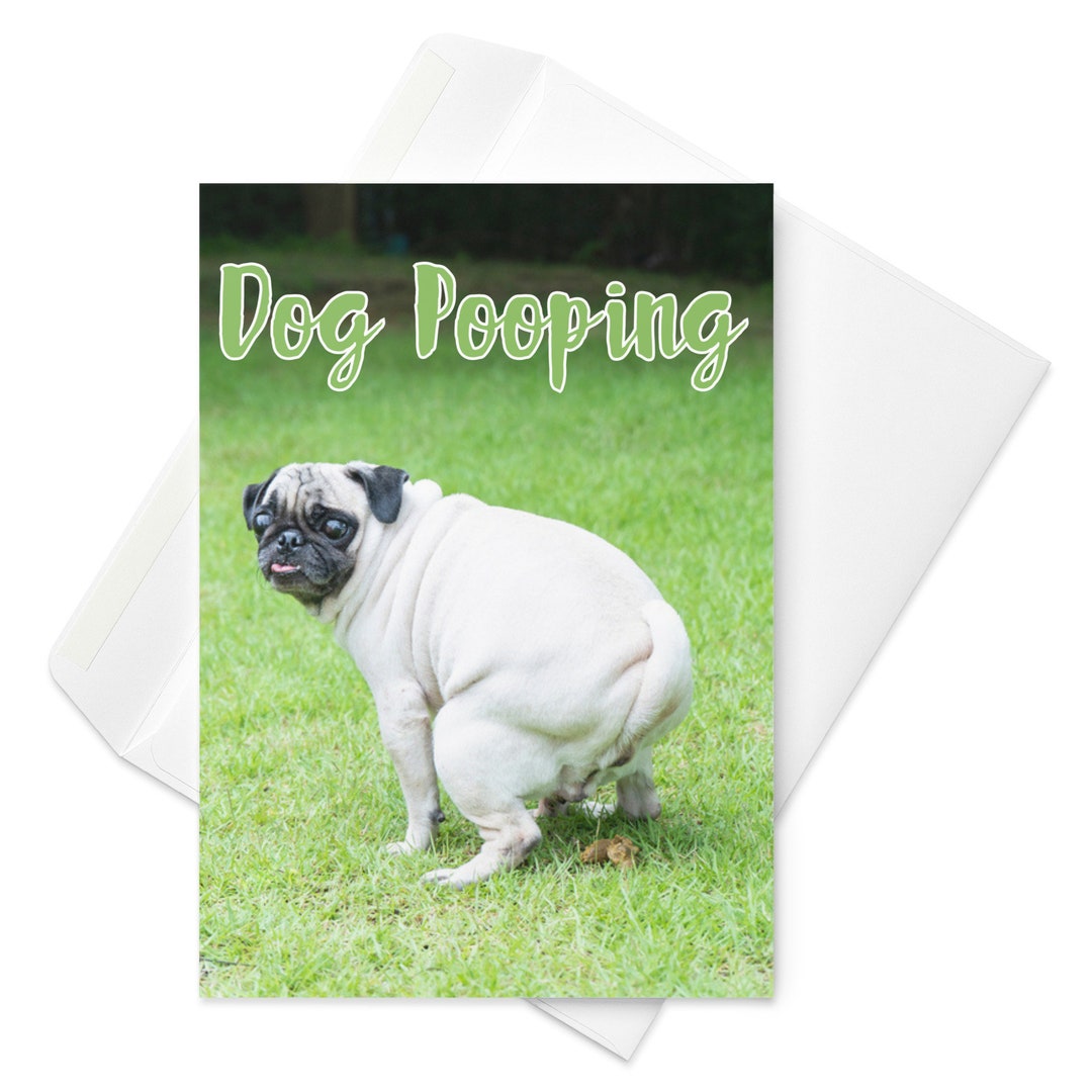 Funny Pooping Dog Birthday Card Gift for Friends Gag Gift Etsy