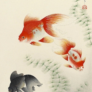 小野幕府による日本のアートプリント「金魚」、木版画、ジクレー