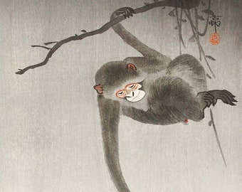 小原古邨による日本の版画「月を狙う猿」、木版画、ジクレー、版画