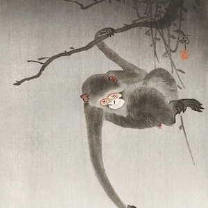 憂鬱な明るさ 高見沢耳のジクレー版画作品 一点物の版画作品です(A4サイズ) 小原古邨による日本の版画「月を狙う猿」、木版画、ジクレー