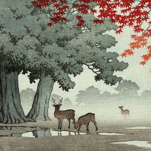 Japanischer Kunstdruck, Kawase Hasui Vintage Print, Holzschnitt Reproduktion, asiatische Kunst, Geschenk, Herbst, Blätter, Hirsch, Park, Natur, Giclee