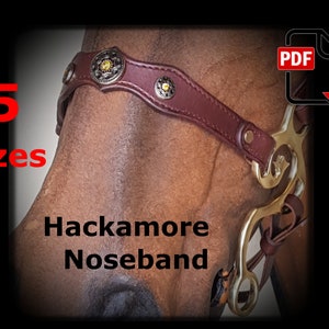Op de afbeelding: Een bruin lederen hackamore neusband met gouden beslag en een decoratief ontwerp. De neusband is verkrijgbaar in 5 maten. PDF-download.