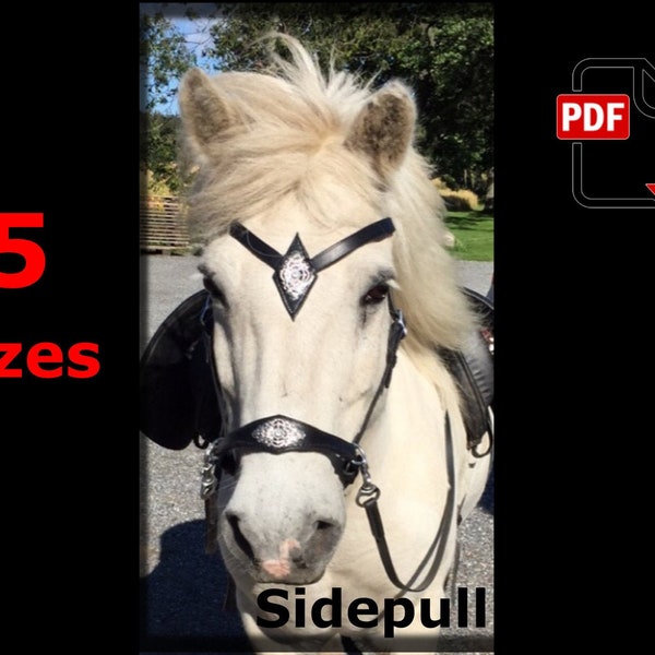 Pdf pattern for Complete sidepull bridle Diamond