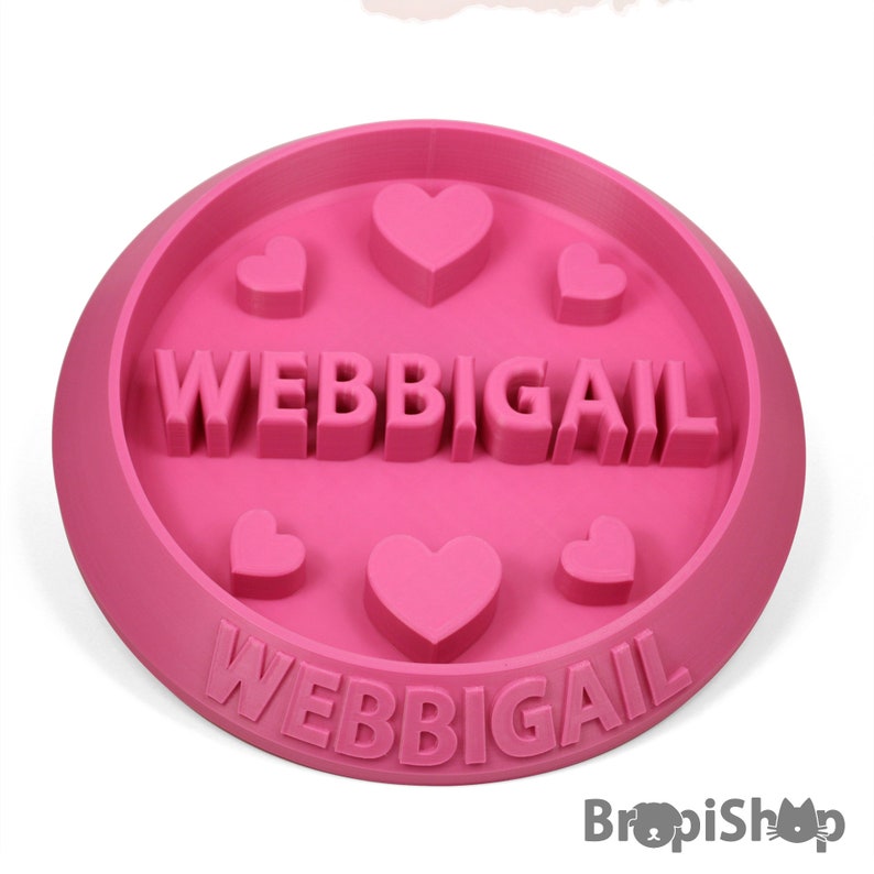 Custom Slow Feeder Dog Bowl Personalized Cat Dish Pets Etsy