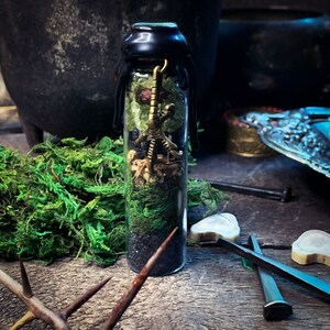 May include: A small glass bottle filled with green, black, and brown materials. A gold scorpion charm hangs from the top of the bottle.
