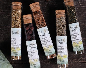 May include: A collection of glass vials filled with dried herbs and berries, each sealed with a cork stopper. The vials have labels with botanical names like Yarrow, Oak Bark, and Stinging Nettle, along with associated properties and elemental associations.