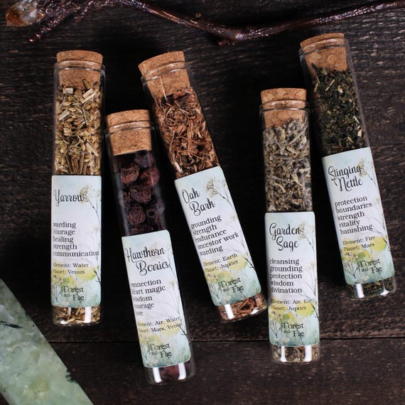 Hedgewitch's Garden – 5 Ritual Herbs for Grounding, Protection