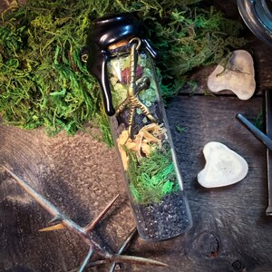May include: A glass vial filled with black sand, green moss, wood chips, and a small metal bird foot charm. The vial is sealed with black wax and has a gold chain attached to the top.