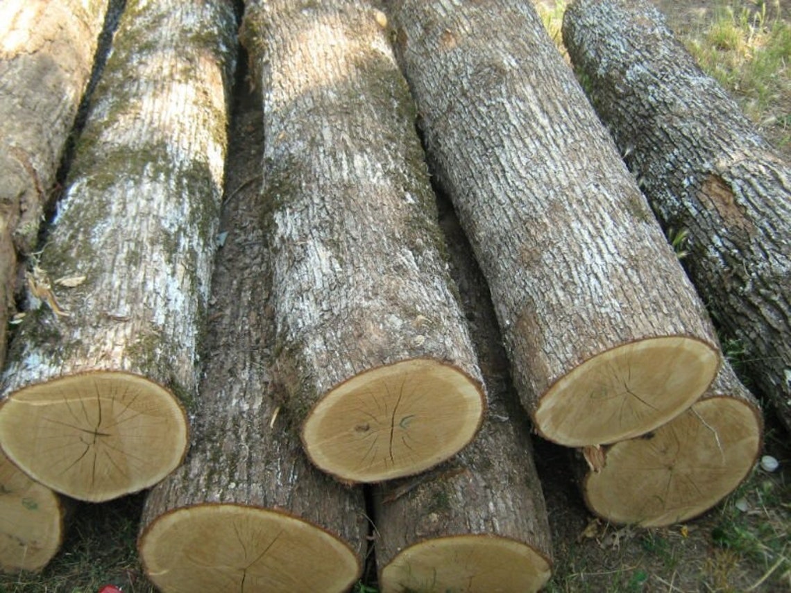English oak logs decorative woodworking. Etsy