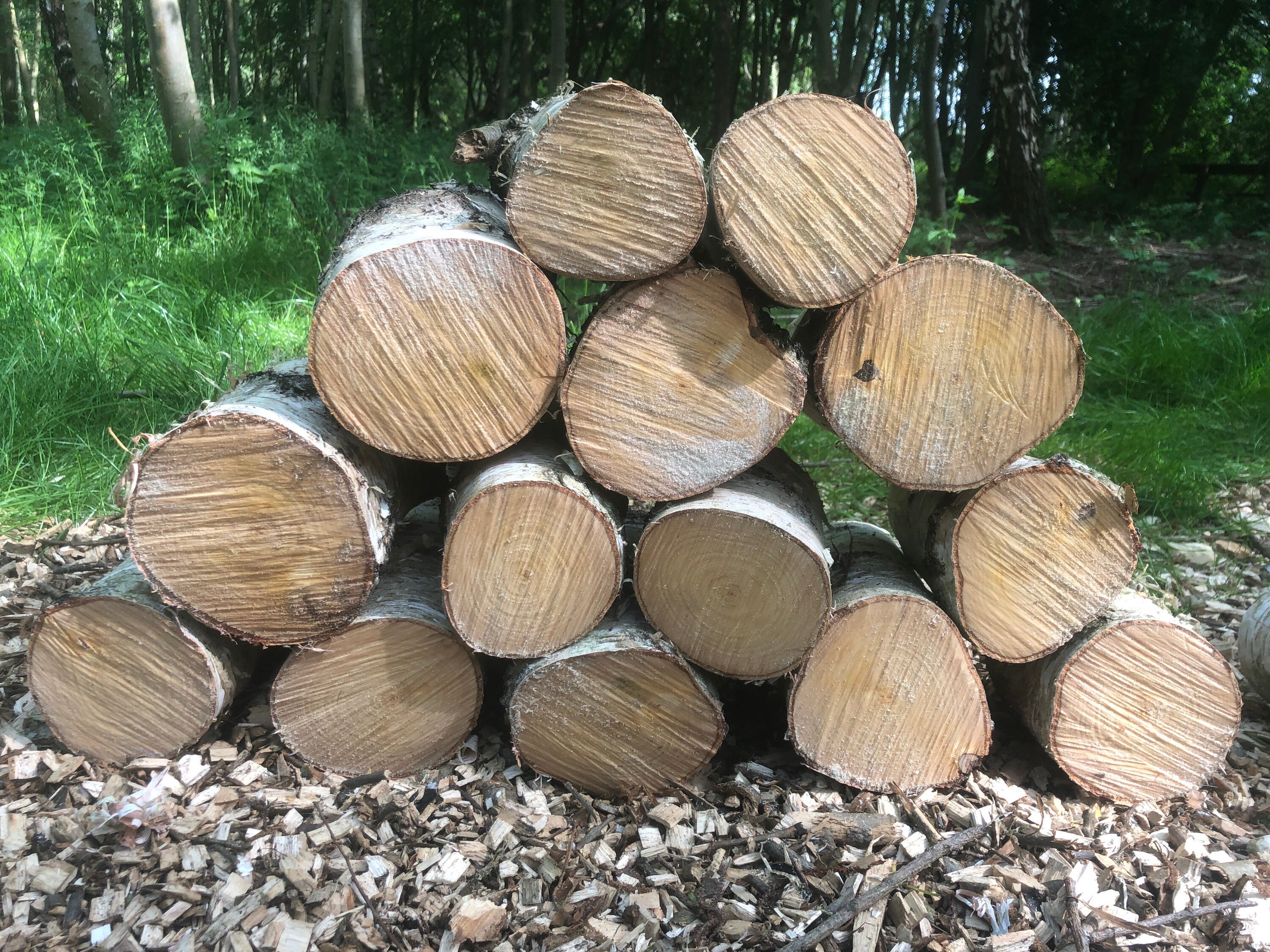 Log Arch for sale compared to CraigsList Only 2 left at 75