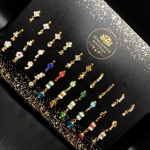 30 Piece Variety Nose Ring Set
