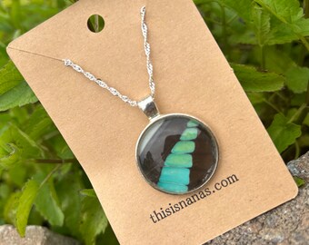 Moth wing necklace