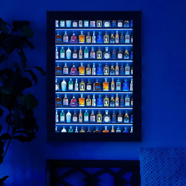 Shot glass display shelf, Mini Liquor Display Cabinet, Mini Bar display case, Shooter Wall Rack Holder, Shotglass display case with door