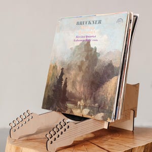 Vinyl record display, Vinyl record stand, Vinyl Storage Flip Rack Display, Vinyl record storage frame, LP Storage, Album Storage display