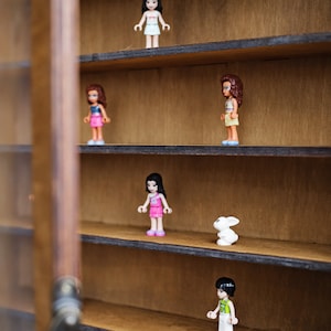 May include: A wooden display case with five shelves, each holding a small plastic figurine. The figurines are of people, including a girl with brown hair and a pink dress, a girl with brown hair and a blue dress, a girl with brown hair and a yellow dress, a girl with brown hair and a white dress, and a boy with brown hair and a green shirt. There is also a small white rabbit figurine on one of the shelves.