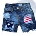 see more listings in the Distressed shorts  section