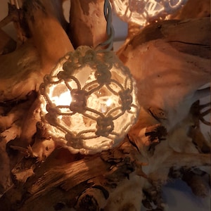 Può includere: Due luci a corda bianche con un design annodato sono infilate su un pezzo di legno alla deriva. Le luci sono accese e brillano.