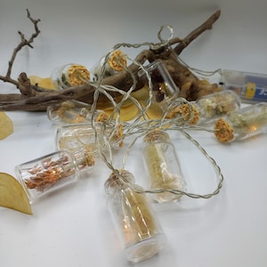 Könnte beinhalten: Eine Lichterkette mit kleinen Glasflaschen, die mit getrockneten Blumen und Pflanzen gefüllt sind. Die Lichter sind auf einem Draht mit einem Batteriefach aufgefädelt.