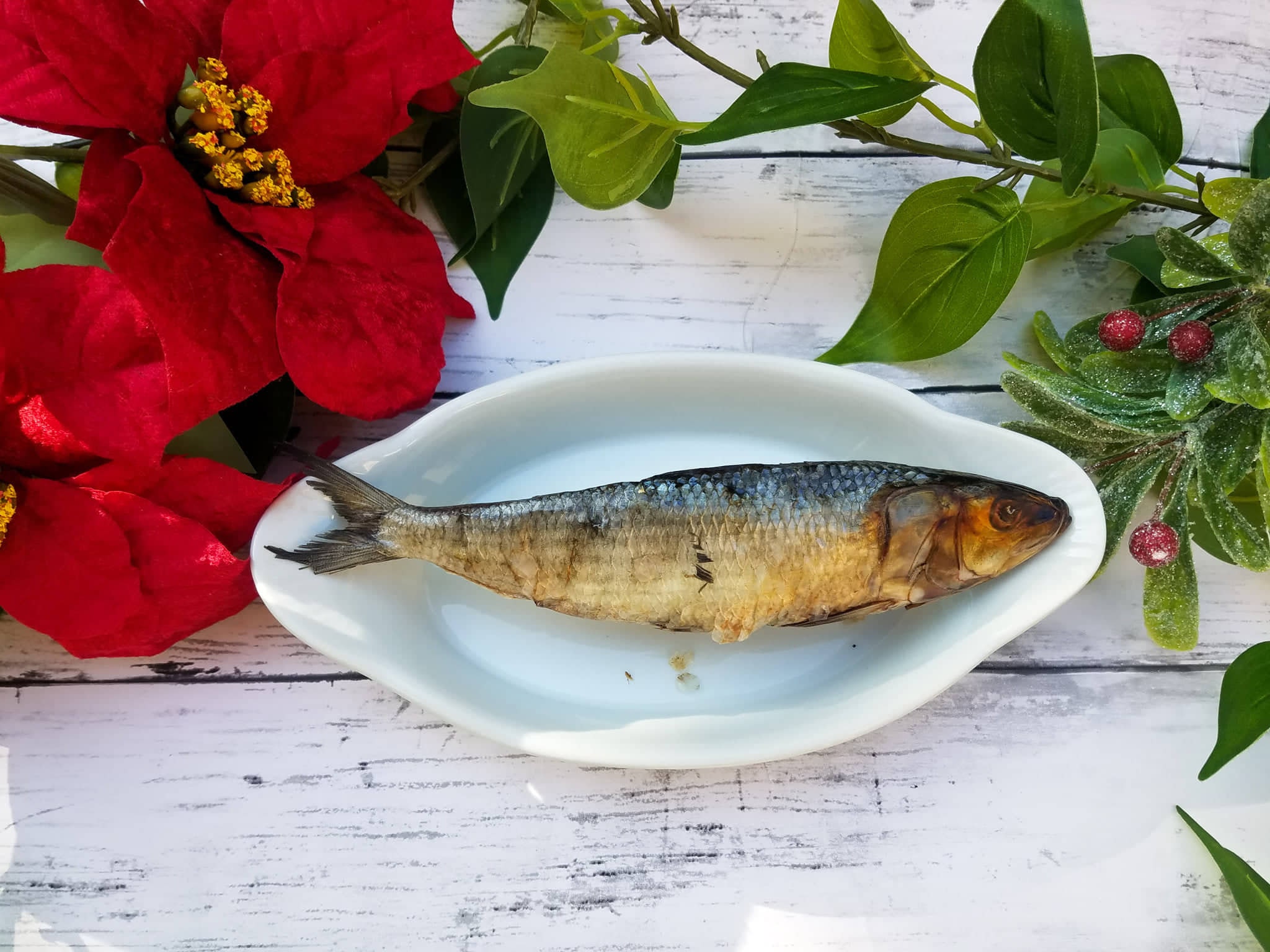 Are Dried Fish Treats Good For Dogs