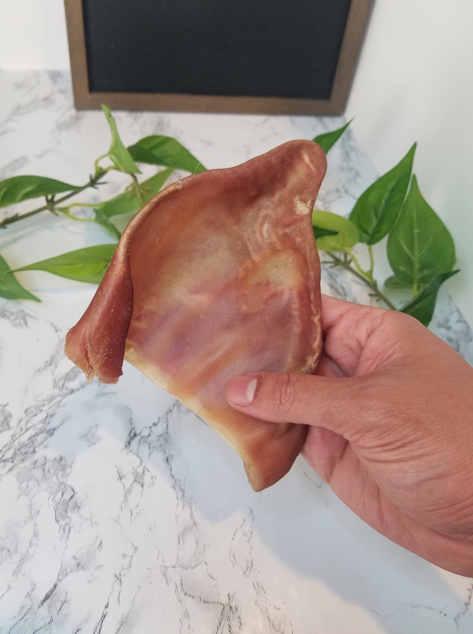 Pig Ears for Dogs Pig Ears for Puppies Pig Ear Dog Treats Etsy