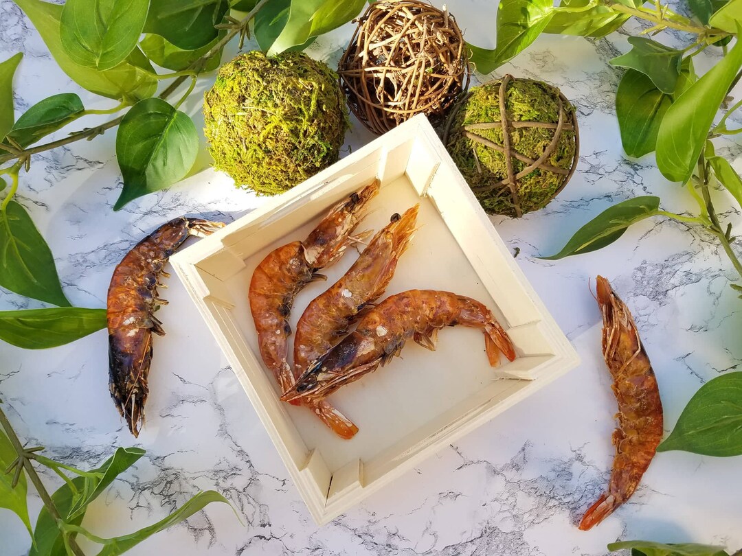 Dried/dehydrated Whole Shrimp for Dogs & Cats, Organic Dog Treats