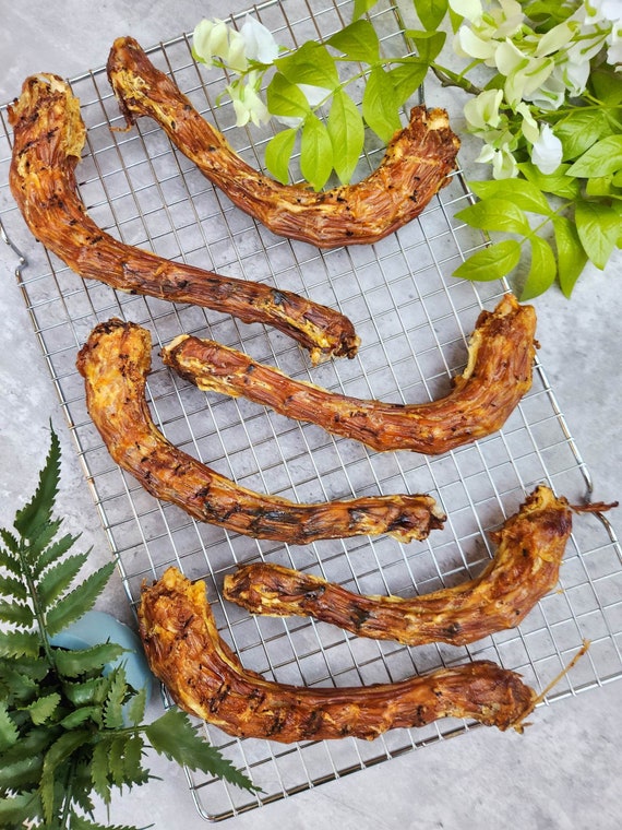 Turkey Dog Treat Cat Treat Homemade Dog Treats Organic Dog Treats Natural Dog Treats Turkey Neck Dried Treats Dehydrated Treats Etsy Australia